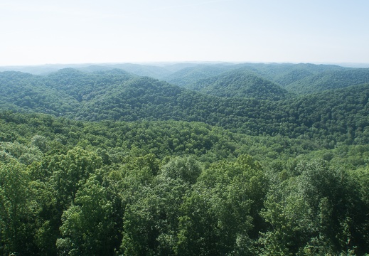 Fire Tower